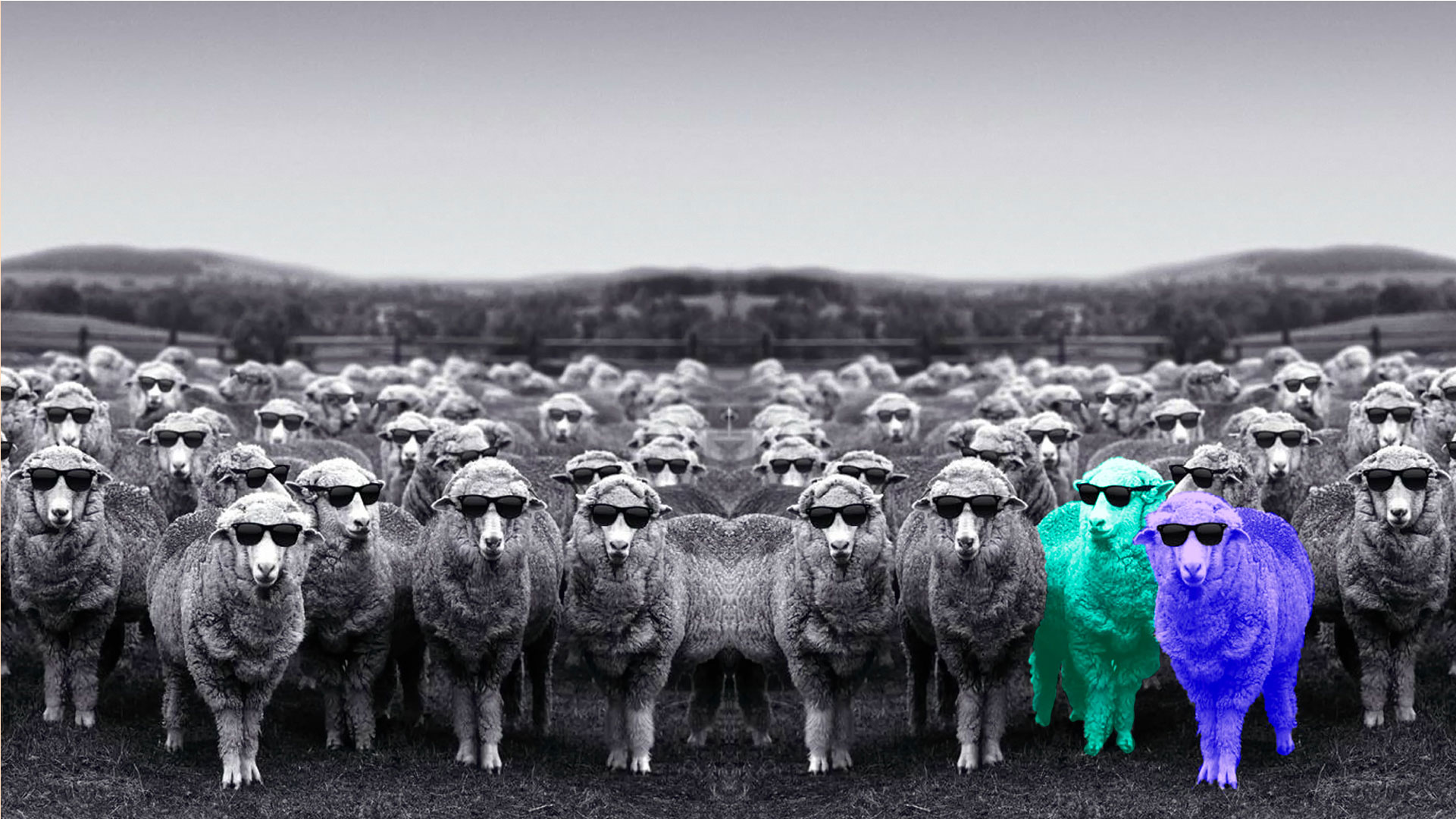 Edgee agence événementielle évènements Paris -visuel-home-moutons-lunette-fluo Edgee-Accueil des événements Supersolidaroécoloptimistic'